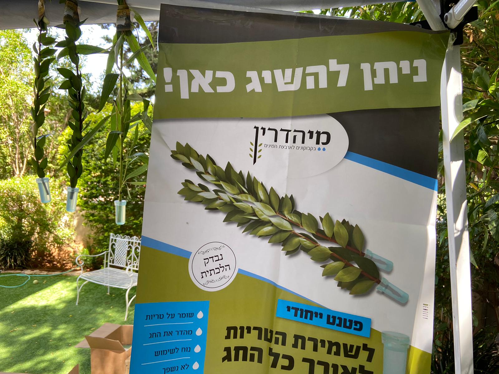 מי הדרין